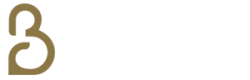 logo-belnuit-literie-linge-de-lit-bronze